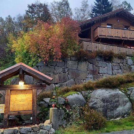 Chalet Typique Vosgien "Les Barbotines" Ventron Ngoại thất bức ảnh