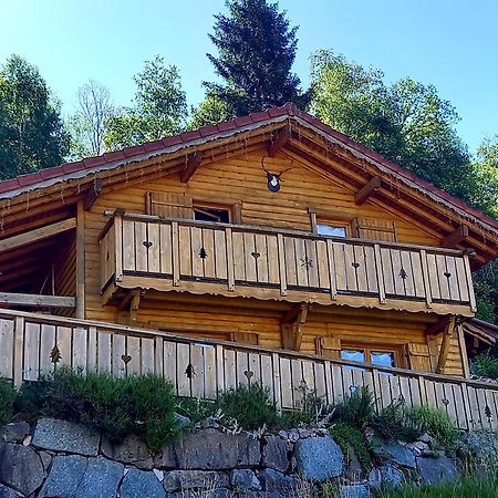 Chalet Typique Vosgien "Les Barbotines" Ventron Ngoại thất bức ảnh