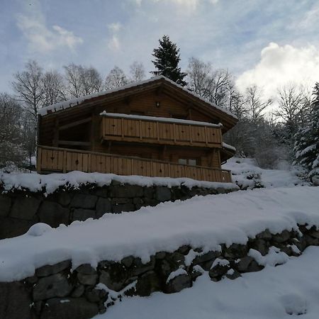 Chalet Typique Vosgien "Les Barbotines" Ventron Ngoại thất bức ảnh