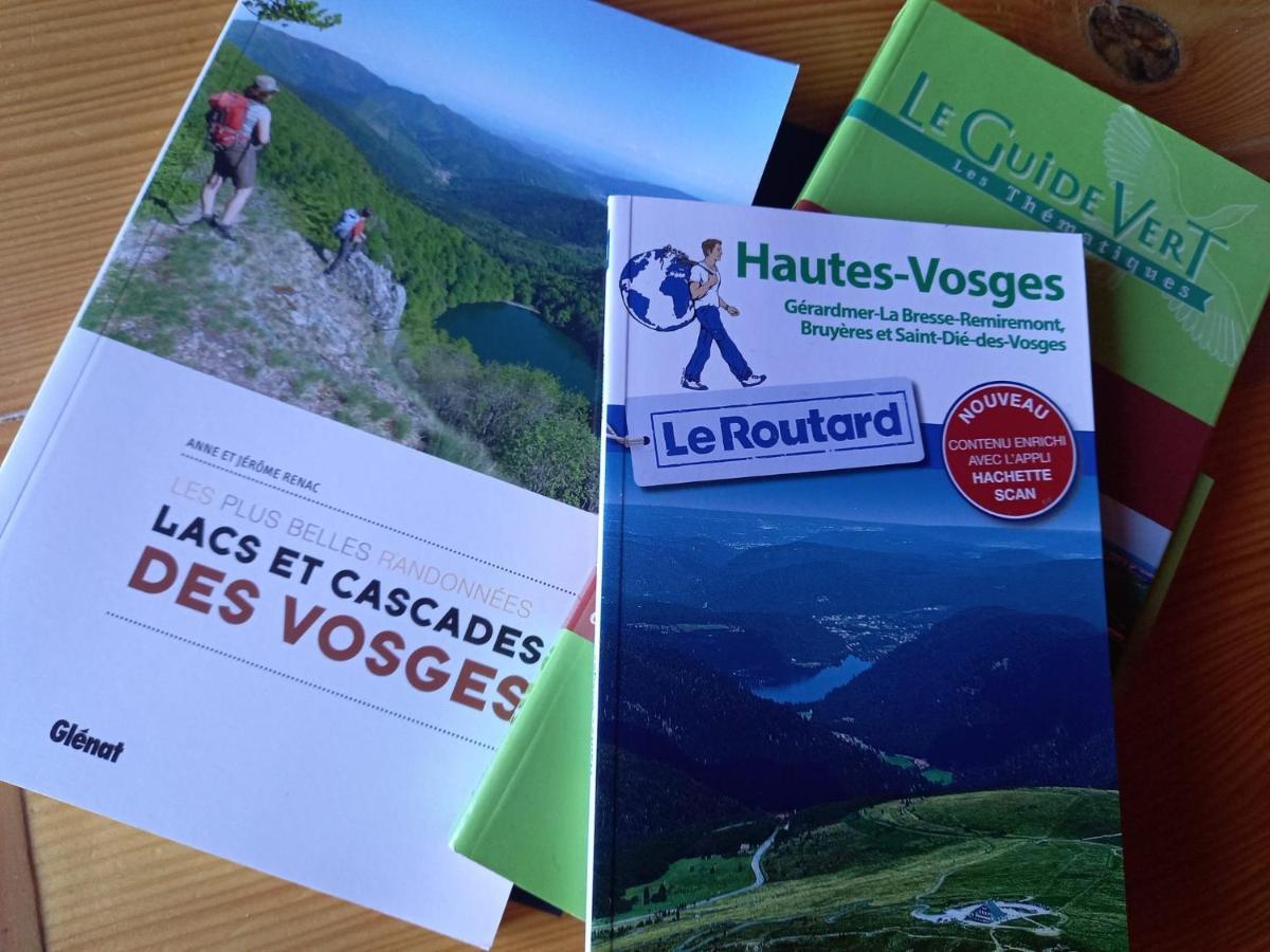 Chalet Typique Vosgien "Les Barbotines" Ventron Ngoại thất bức ảnh